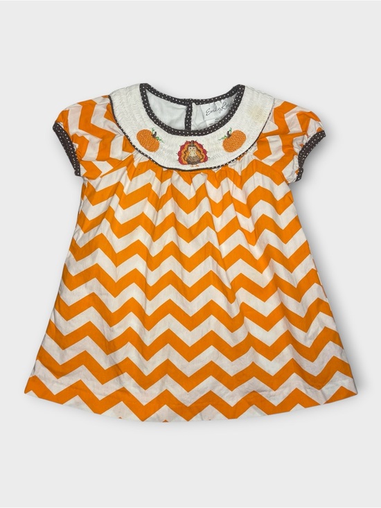 Emily Rose Other - Emily Rose Fall Pumpkin Chevron Turkey Pattern Smocked Dress